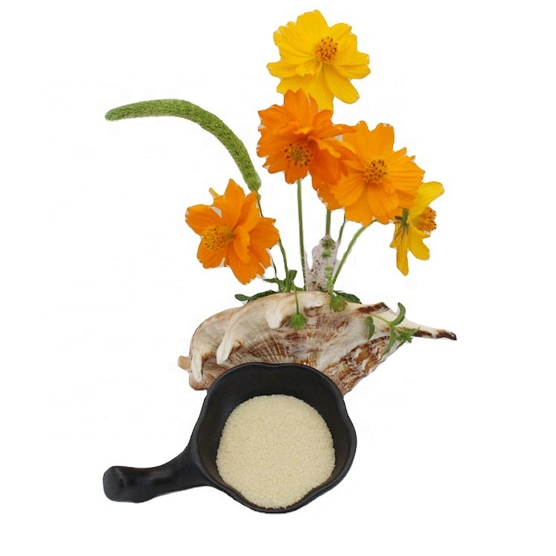 Halal hydrolyzed Bovine Gelatin Gelatin Powder